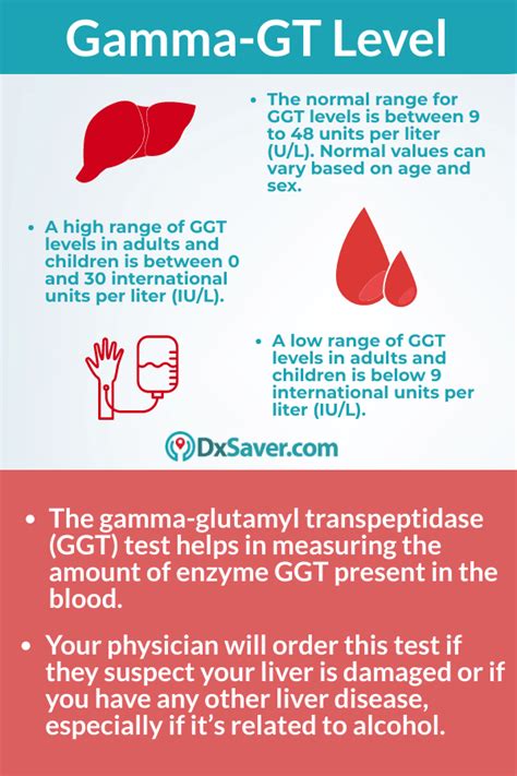 ggt low levels in adults.